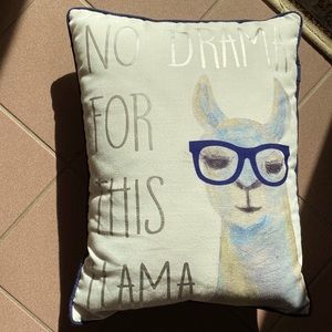 No Drama for this llama accent pillow